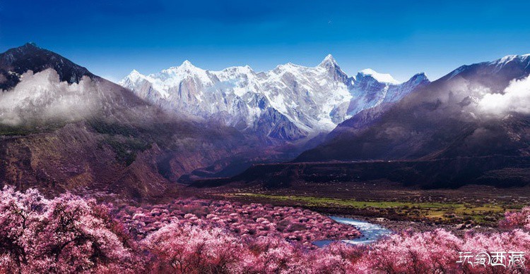 林芝桃花旅游节3月开幕