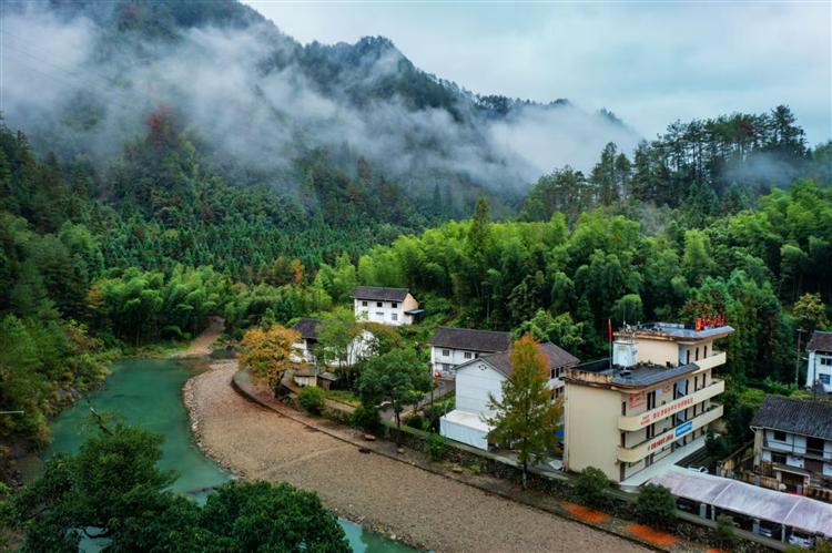 家地村：藏在浙南山水深处的“蜜境”